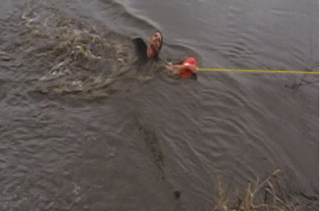 Live Water Rescue Caught on Video