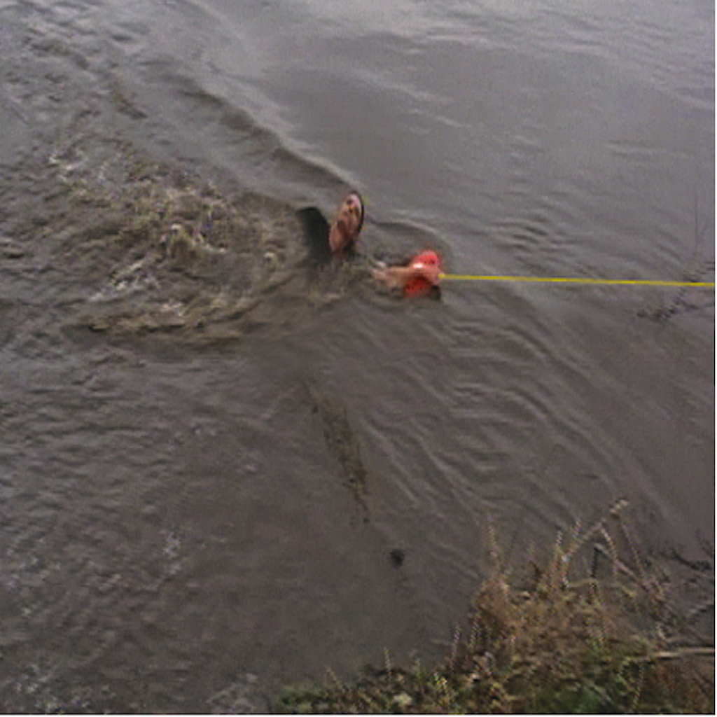 live-water-rescue-cropped