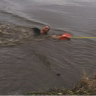 Live Water Rescue Caught on Video