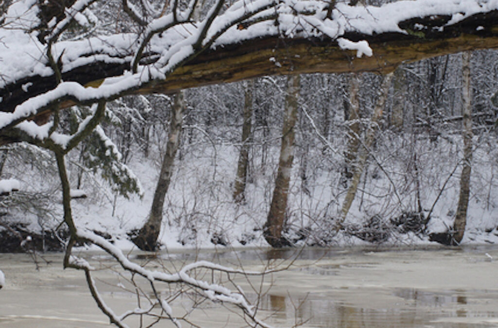 14-year-old Girl Rescued from Icy Pond