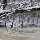 14-year-old Girl Rescued from Icy Pond