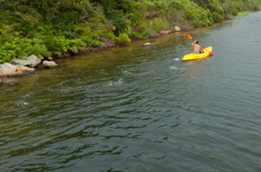 Kayaker Saved from Swift Water