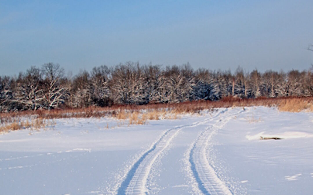 State Police Rescue Two Snowmobilers Fallen Through Ice on Higgins Lake