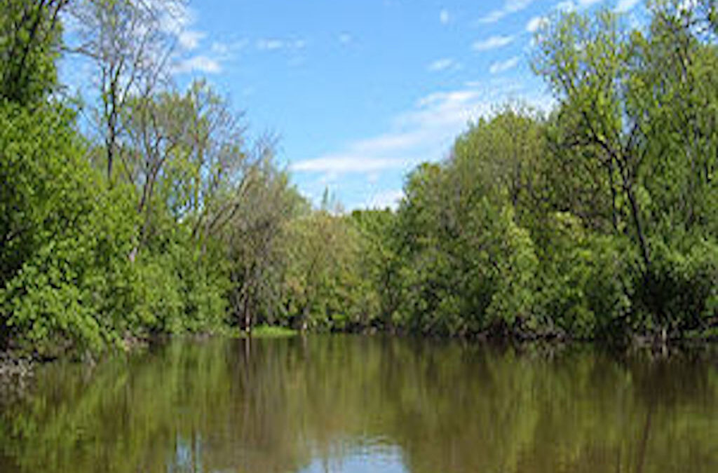 Man Stuck in River Pulled to Safety