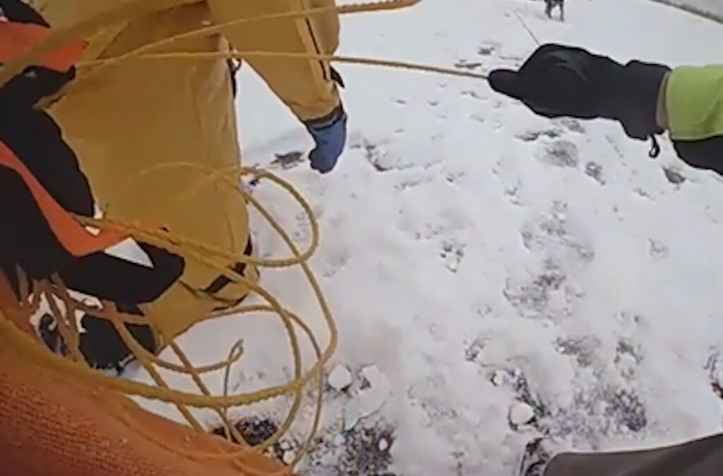 Icefisherman and Dog Rescued After Falling through Ice