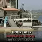 Baywatch Show at Seaworld San Diego Demonstrates ResQ Disc in Staged Rescue